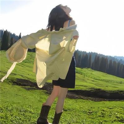 喵星少年漂流记